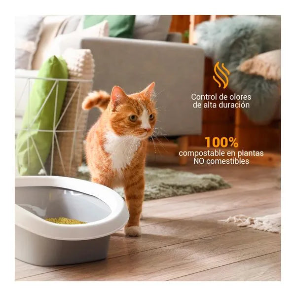 Kanu Pet Corn Cat Litter | Kanu Pet