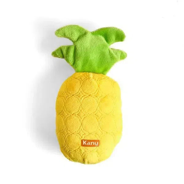 Kanu Plush Pineapple Dog Toy | Kanu Pet
