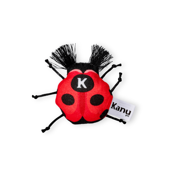 Kanu Pet Ladybug Plush Cat Toy