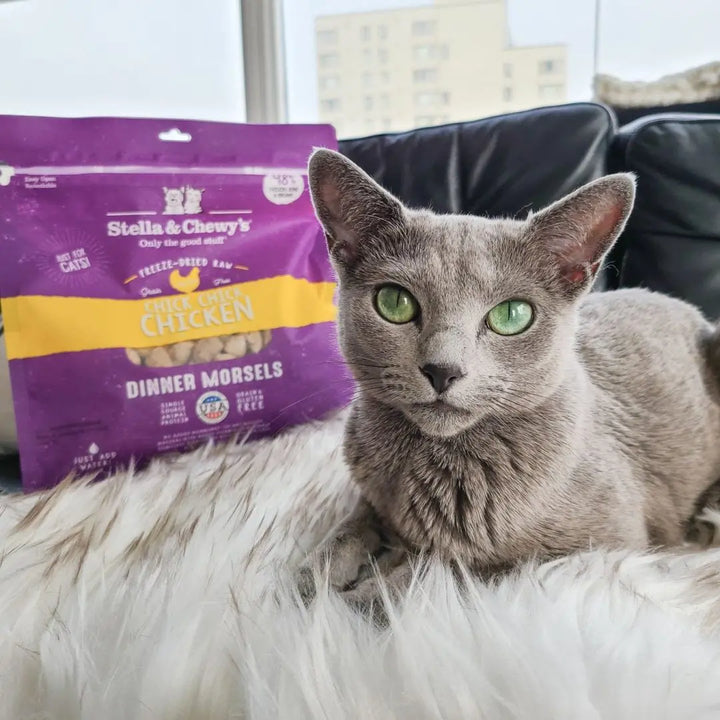 Stella & Chewys Chicken Freeze-Dried Raw Cat Food | Kanu Pet