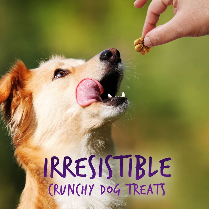 Fruitables Dog Treat Biggies | Kanu Pet