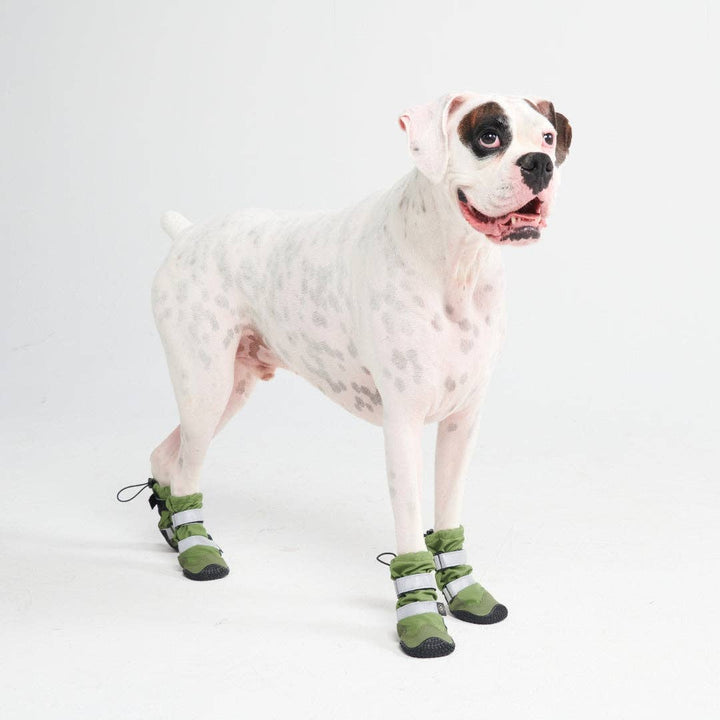 Spark Paws Flex Shell Water-resistant Green Dog Boots | Shop Now