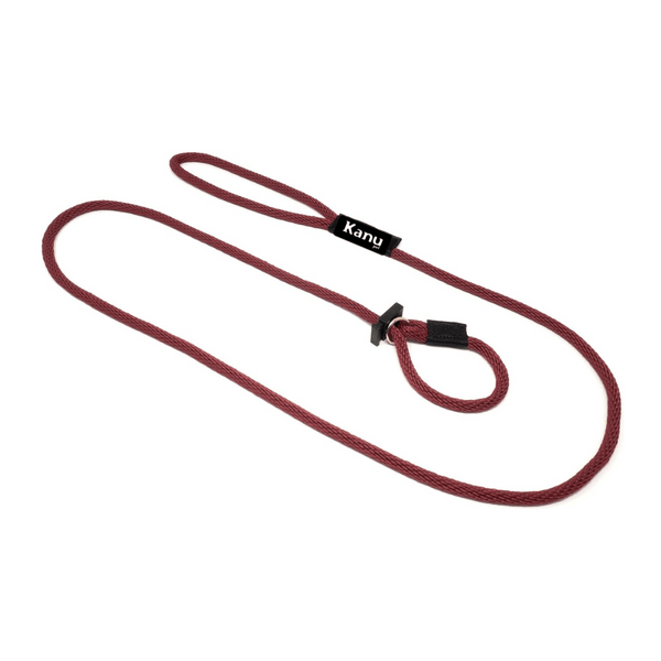 Kanu Pet Red Slip Dog Leash & Collarr | Kanu Pet