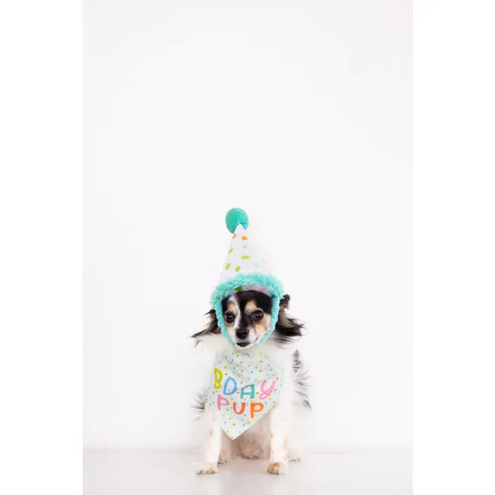 Birthday Dog Pup S/M Bandana Hat Set