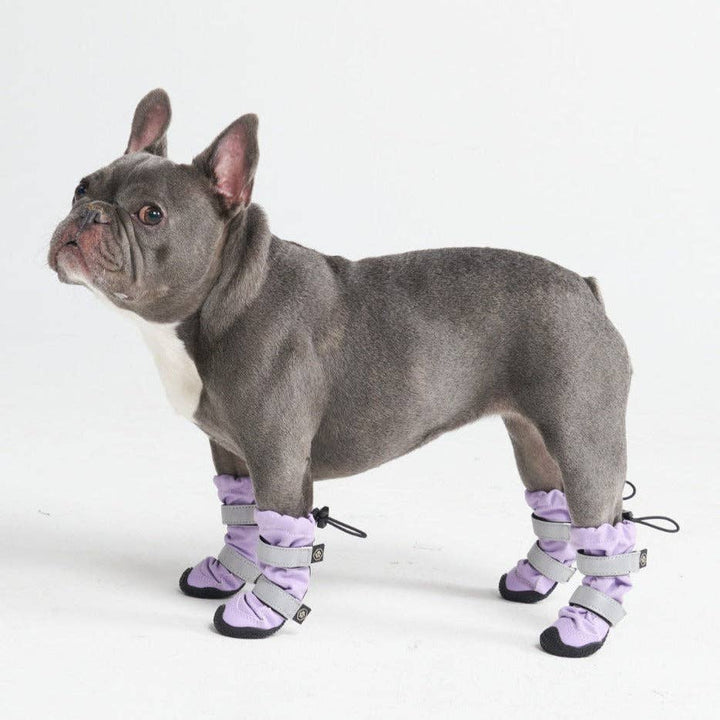 Spark Paws Flex Shell Water-resistant Lilac Dog Boots | Shop Now