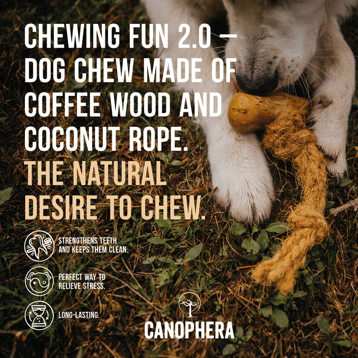 Canophera LLC Coffee Wood and Coconut Dog Rope | Kanu Pet