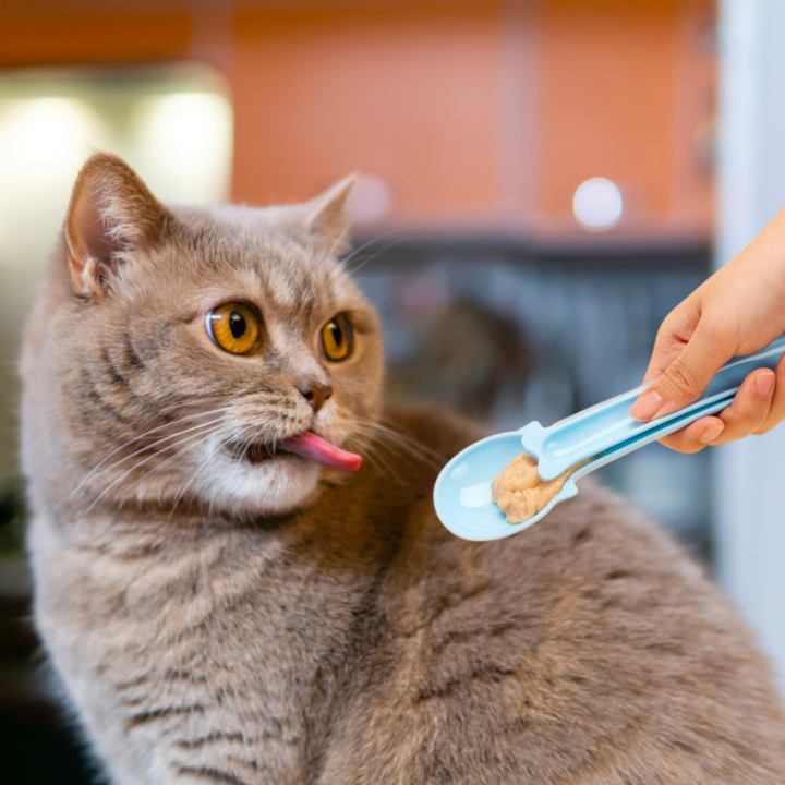 Curatepet Cat Lickable Treats Feeding Spoon | Kanu Pet