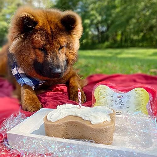 Puppy Cake LLC Dog Birthday Cake Kit | Kanu Pet