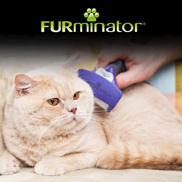 Furminator Undercoat DeShedding Tool for Medium/Large Cat | Kanu Pet