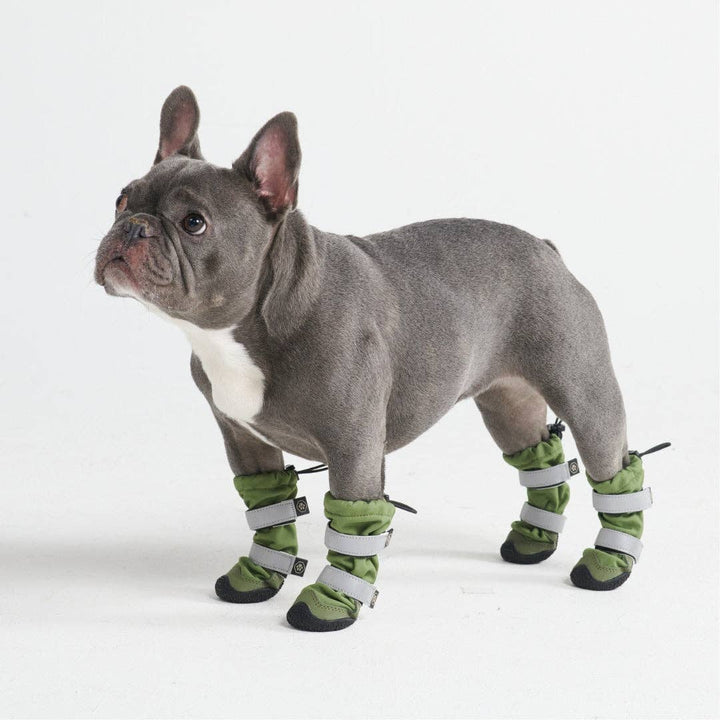 Spark Paws Flex Shell Water-resistant Green Dog Boots | Shop Now