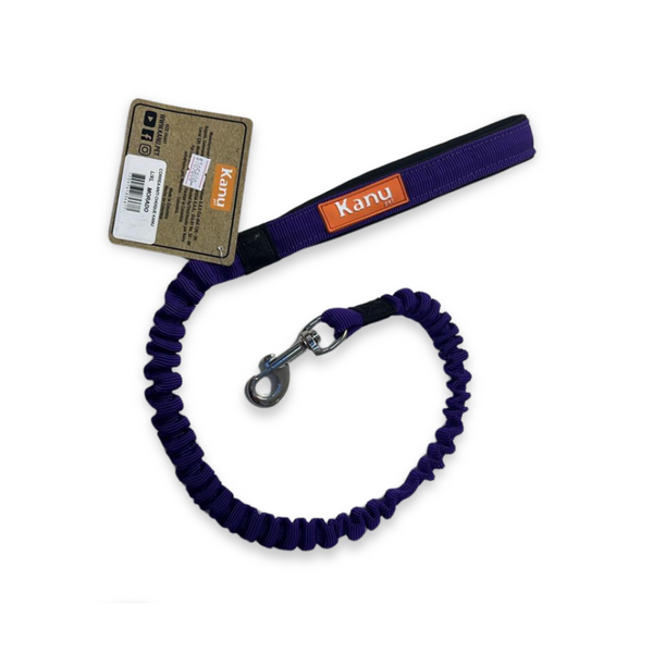 Kanu Pet Purple Shock-Absorbing Dog Leash