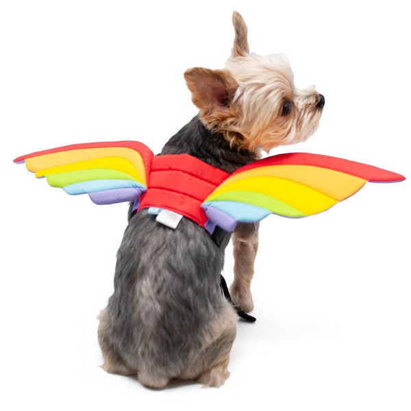 Dogo Pet Rainbow Wings Dog Costume