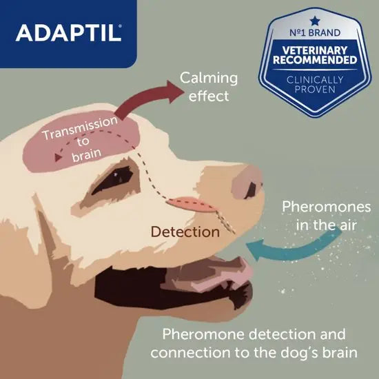 Adaptil  Calm Plug-in Home Diffuser Starter Kit for Dogs | Kanu Pet