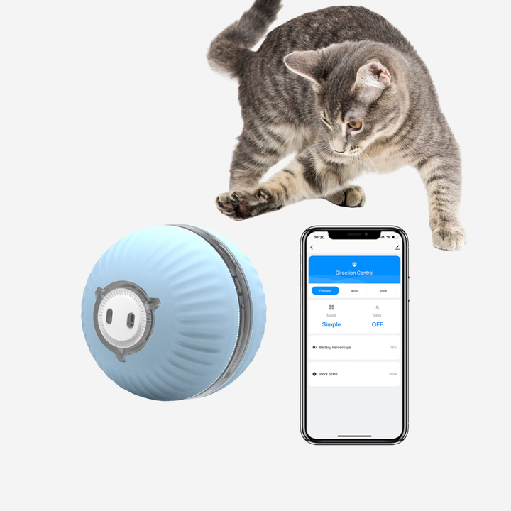 Curatepet Interactive Smart Cat Ball | Kanu Pet