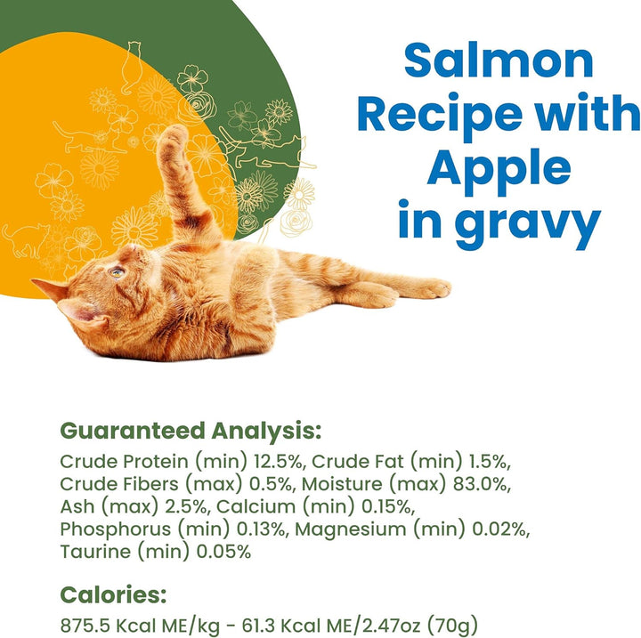 Almo Nature HQS Complete Salmon & Apples in Gravy Cat Wet Food  | Kanu Pet