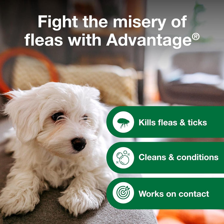 Advantage Flea & Tick Treatment Shampoo for Dogs & Puppies | Kanu Pet