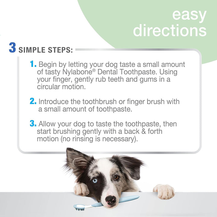 Nylabone Natural Toothpaste for Dogs | Kanu Pet