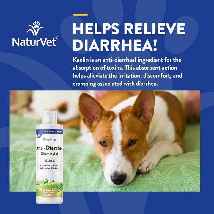 NaturVet Anti-Diarrhea Liquid Plus Kaolin for Dog | Kanu Pet