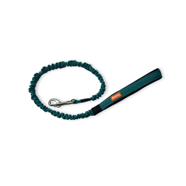 Kanu Pet Jade Green Shock-Absorbing Dog Leash