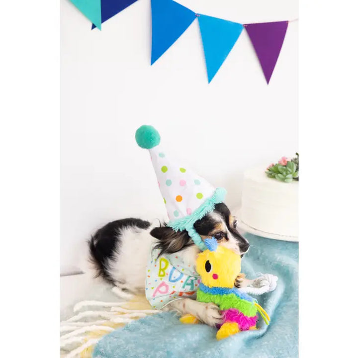 Birthday Dog Pup S/M Bandana Hat Set