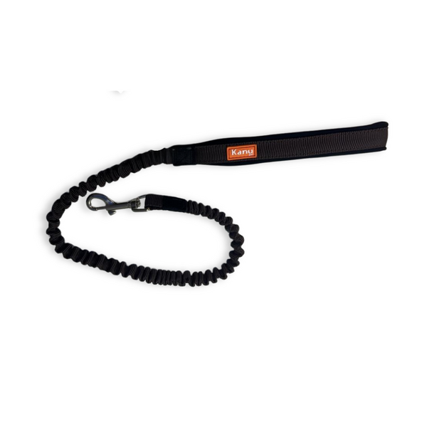 Kanu Pet Brown Shock-Absorbing Dog Leash