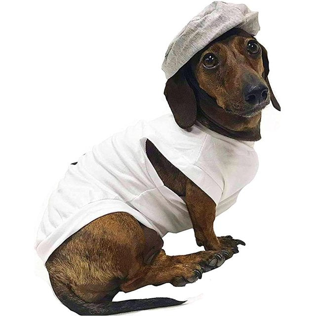 Midlee Designs Halloween Salt & Pepper Dog Costume | Kanu Pets