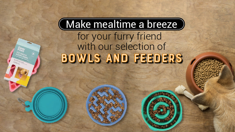 make mealtime a breeze for ypur furry friend