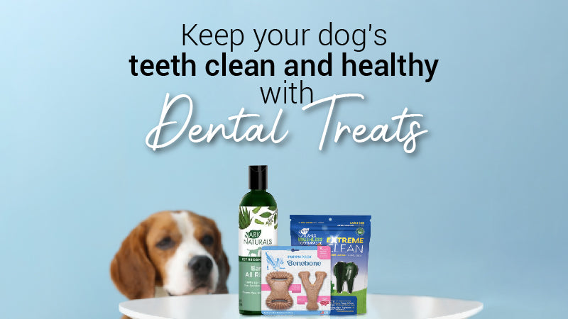 Banner_dental_treats-02