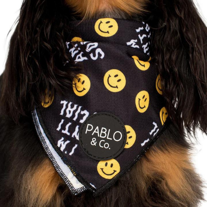 Pablo & Co.  I'm Anti Social Dog Bandana | Kanu Pet