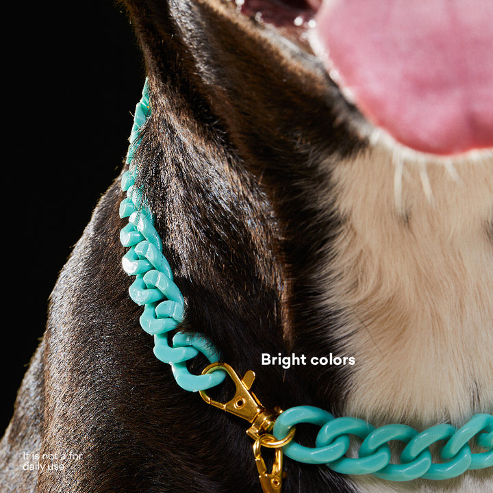 Kanu Pet Mint Acrylic Cuban Chain for Dogs & Cats | Kanu Pet