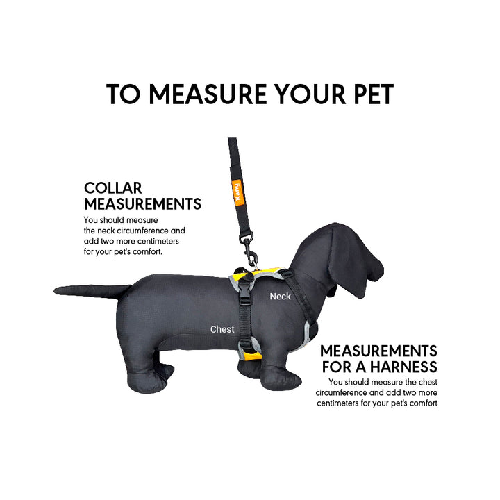 Kanu Mini Walker Black/Yellow Dog Harness | Kanu Pet