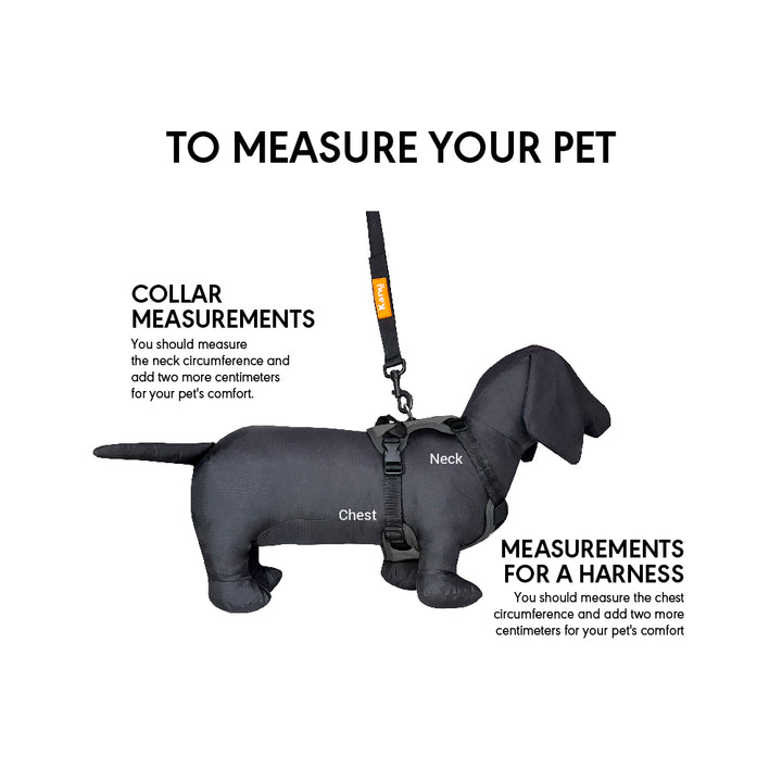 Kanu Mini Walker Gray/Black Dog Harness | Kanu Pet