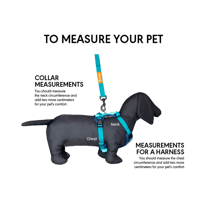 Kanu Walker Jade/Green Dog Harness | Kanu Pet