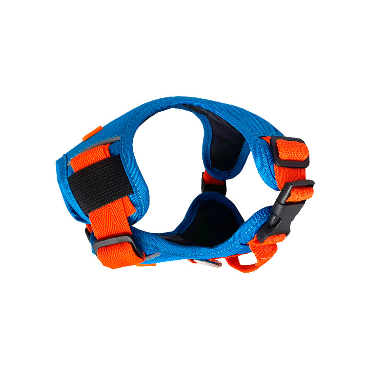 Kanu Walker Orange/Blue Dog Harness | Kanu Pet