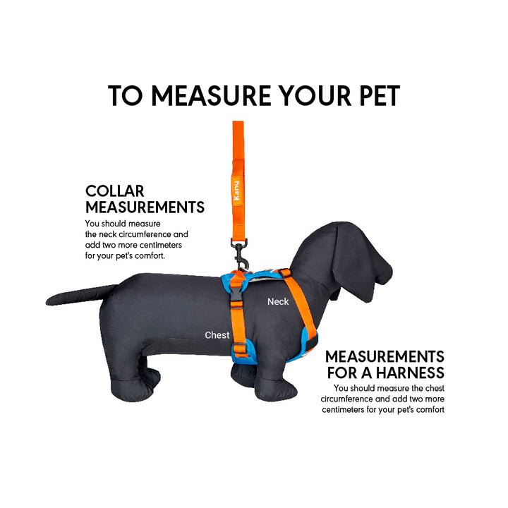 Kanu Walker Orange/Blue Dog Harness | Kanu Pet