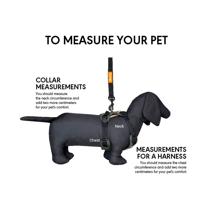 Kanu Walker Black/Green Dog Harness | Kanu Pet