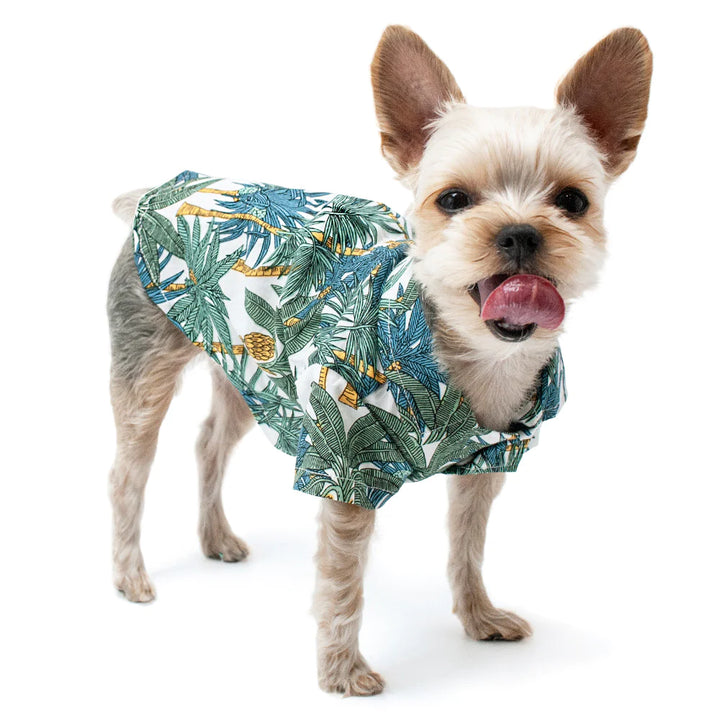 Dogo Pet Tropical Leaf Dog Shirt | Kanu Pet