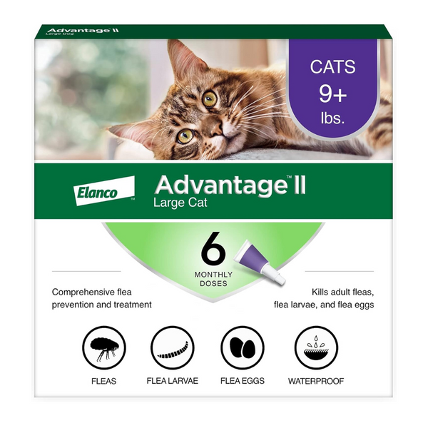 Advantage II Cats | Kanu Pet