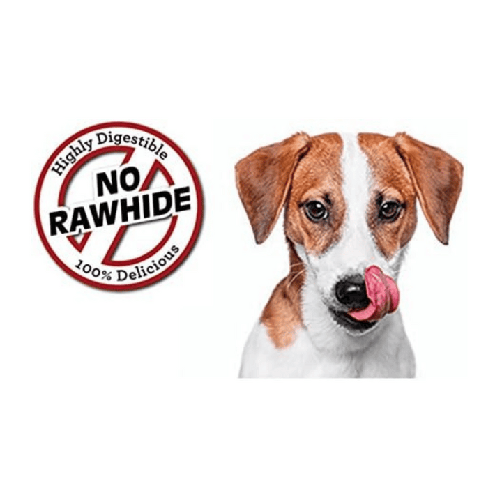 SmartBones Rawhide-Free PeanutButter Classic Bone Dog Chews | Kanu Pet