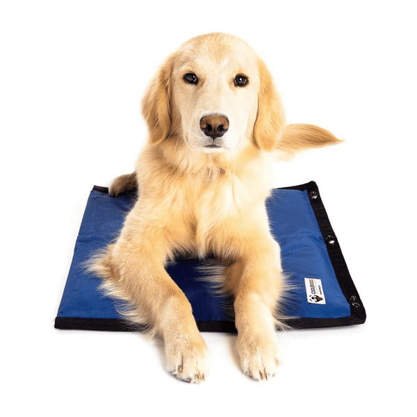 CoolerDog Hydro Cooling Mat for Dogs | Kanu Pet