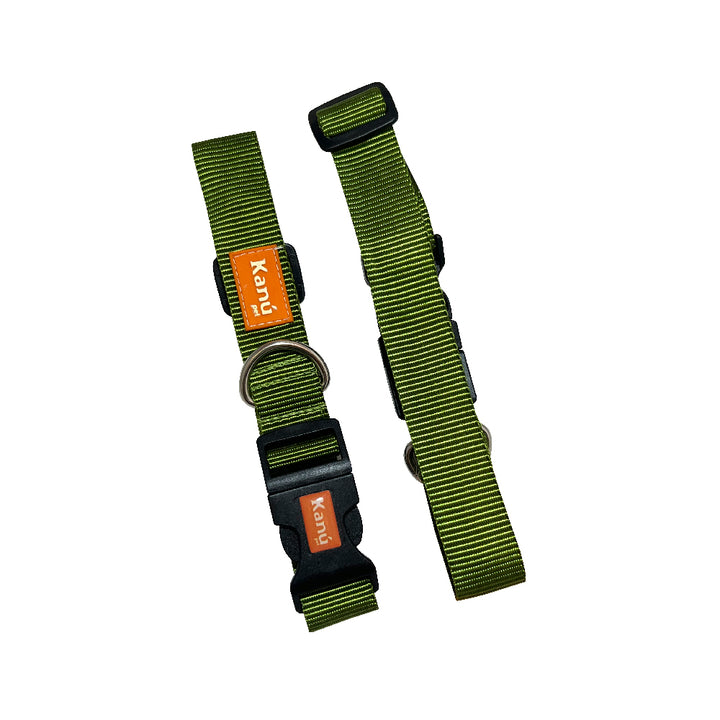 Kanu Pet Green Dog Collar | Kanu Pet