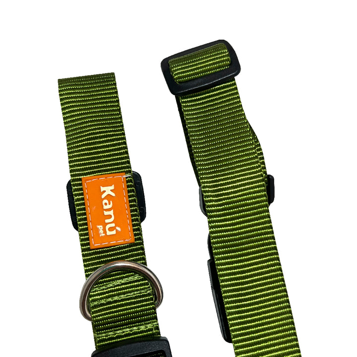 Kanu Pet Green Dog Collar | Kanu Pet