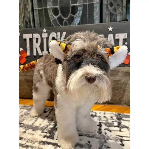 Midlee Designs Halloween Tiger Headband  Dog Costume | Kanu Pets