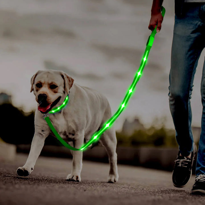 Ksproducers Dotted LED Flashing Dog Leash | Kanu Pet