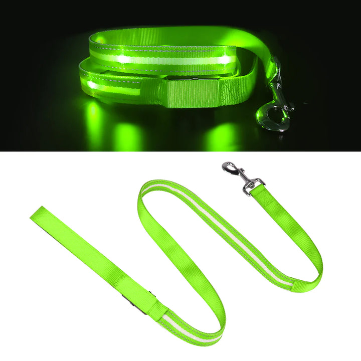 Ksproducers Dotted LED Flashing Dog Leash | Kanu Pet