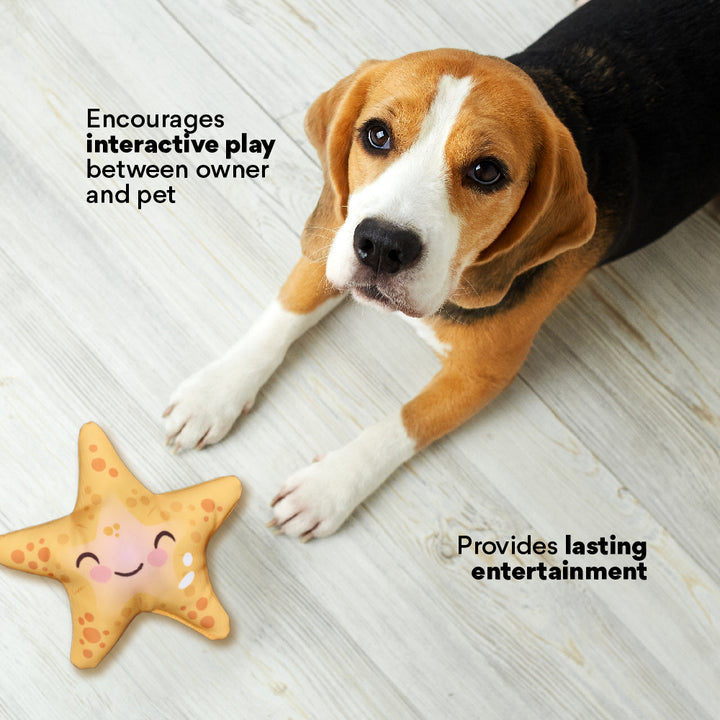 Kanu Pet Starfish Plush Dog Toy | Kanu Pet