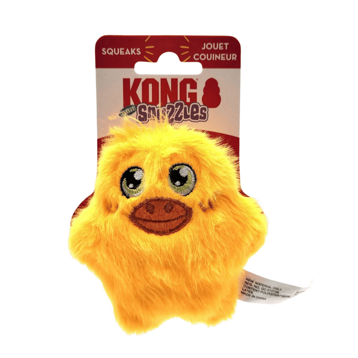 Kong duck toy best sale