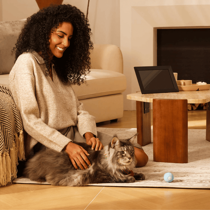 Curatepet Interactive Smart Cat Ball | Kanu Pet