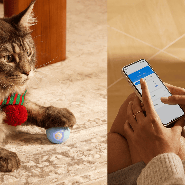 Curatepet Interactive Smart Cat Ball | Kanu Pet