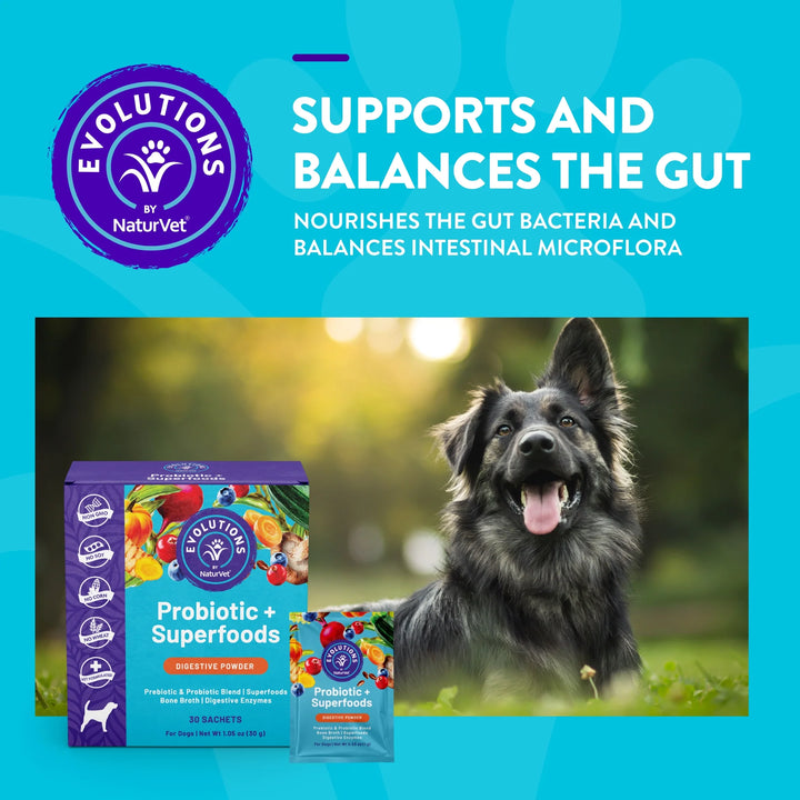 NaturVet Evolutions Probiotic + Superfoods Soft Chews for Dogs | Kanu Pet